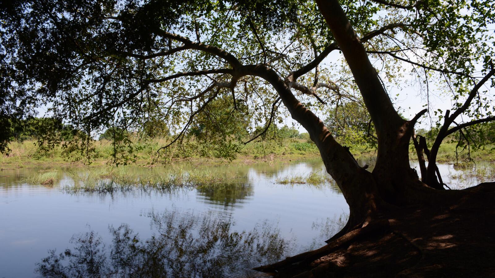 The Pilchi river in Wankey.