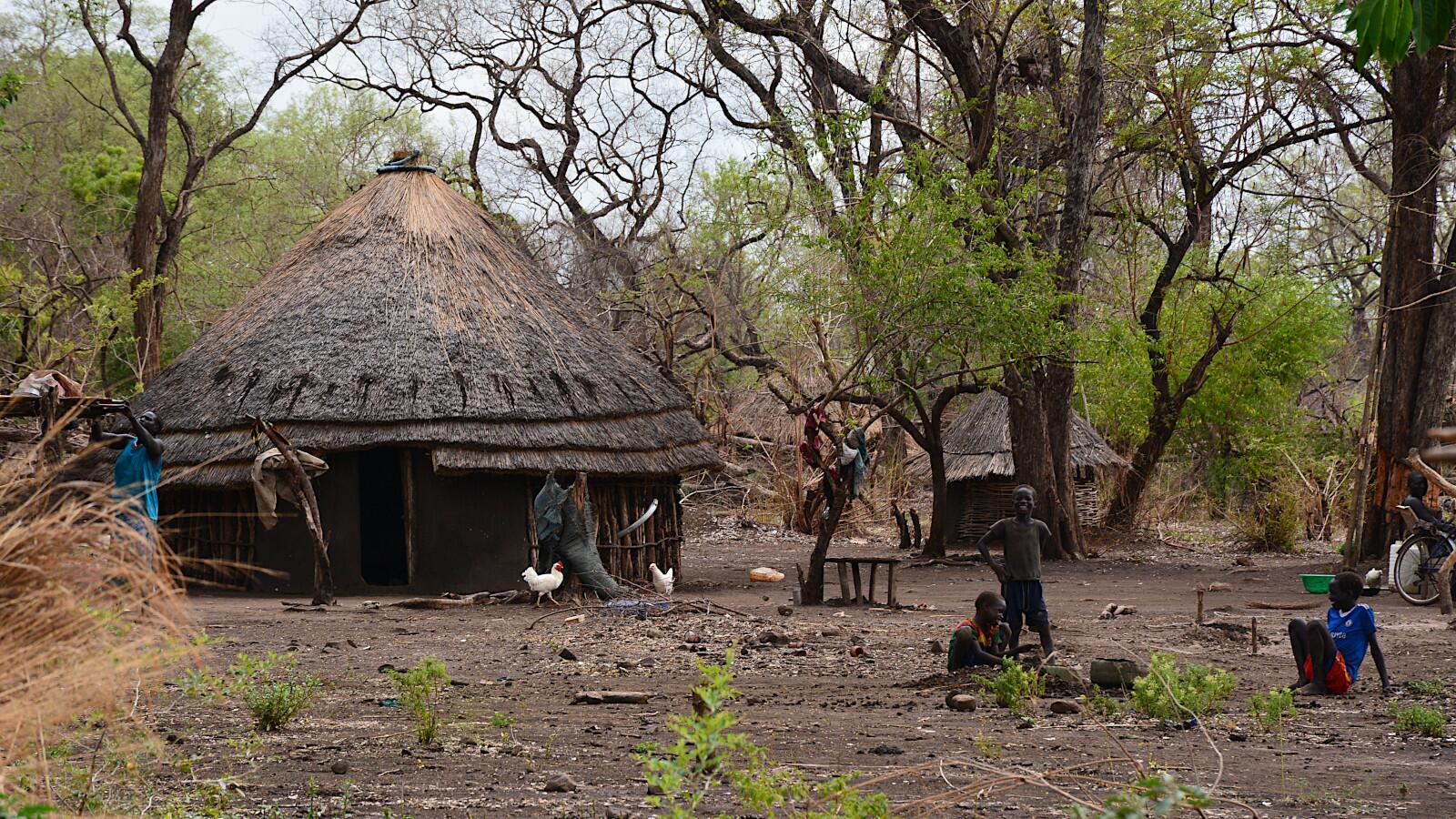 Opo homestead.