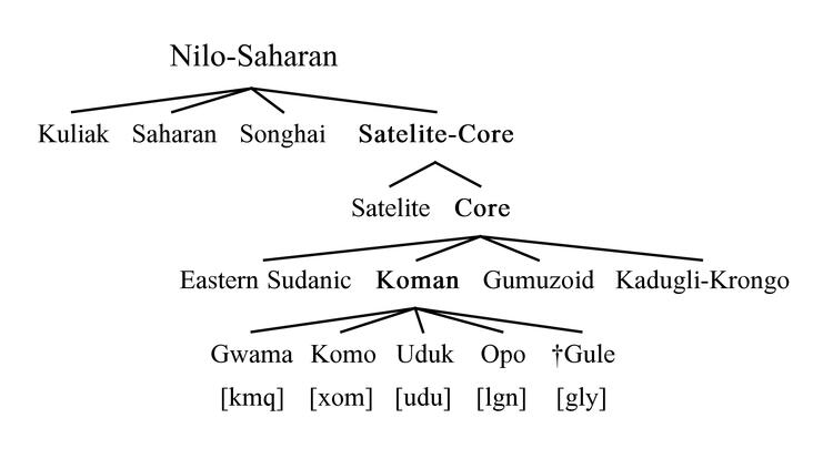 Opo genetic classification