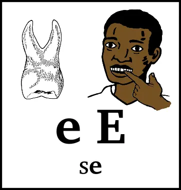 e E