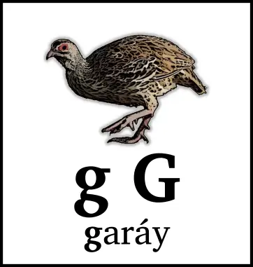 g G