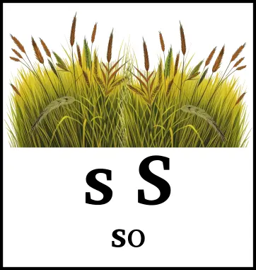 s S