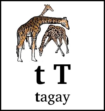 t T