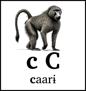 c C