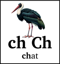 ch Ch