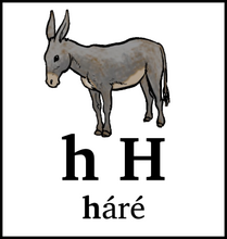 h H