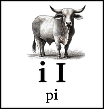 i I