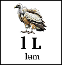 l L