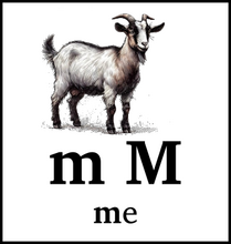 m M
