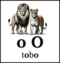 o O