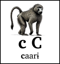c C